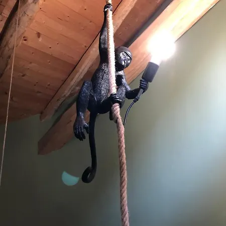 بيت ضيافة La Maison D'obinat 3*