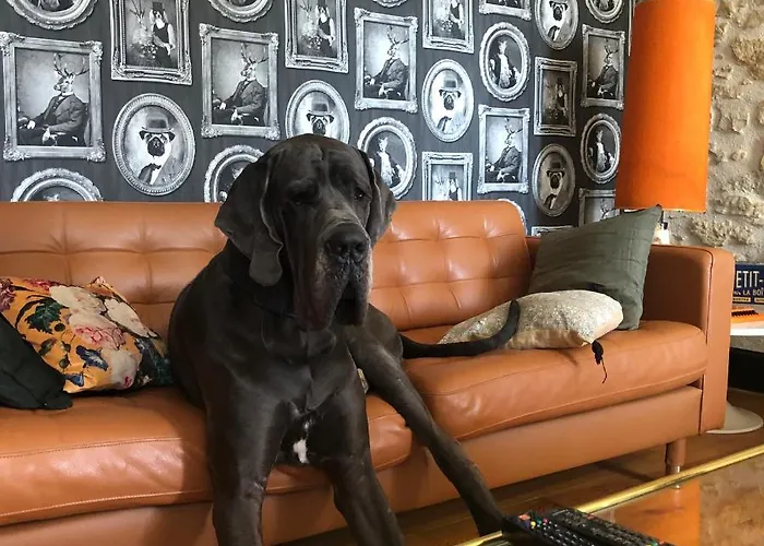 La Maison D'obinat 3*